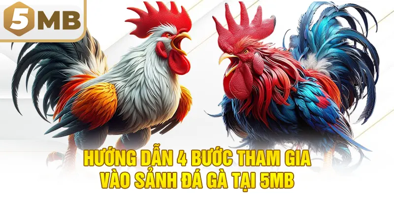 Hướng dẫn 4 bước tham gia vào sảnh đá gà tại 5MB