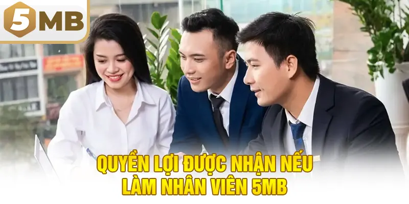Quyền lợi được nhận nếu làm nhân viên 5MB